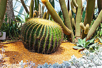 gay自慰:探索LGBTQ+自慰:揭秘心理與性健康之謎-2