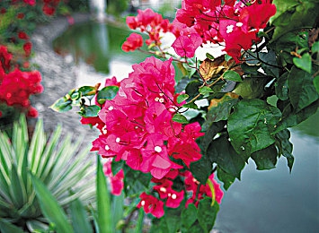 4399能免費看所有電視電影嗎-4