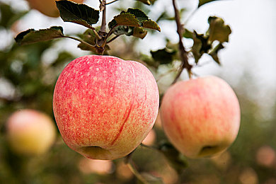 jalapwaswaswaskino291:新軟件崛起,網(wǎng)絡(luò)安全無(wú)憂-2