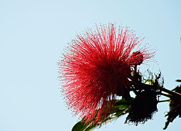 7277.tv真人直播：直播盛宴，7277.tv魅力獨(dú)領(lǐng)風(fēng)騷-3