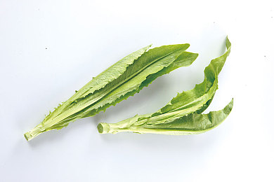 69少婦:69歲“少婦”走紅:傳奇人生引關(guān)注-3