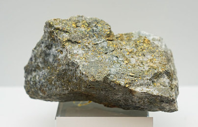 Gay男男網(wǎng)站18:游戲新平臺:社交樂趣全球暢享-2