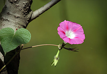 99熱這里有：奇幻世界等你來(lái)，免費(fèi)暢玩！-2