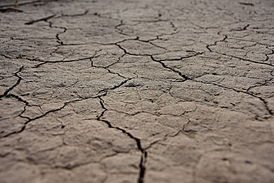 成人火影,火影新篇:鳴人成影帝-5