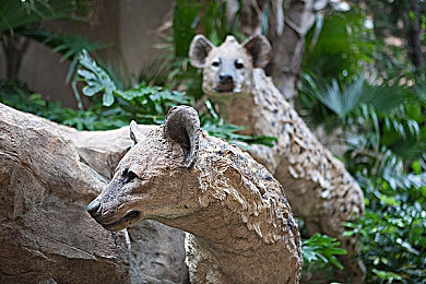 AV漫畫入口：漫畫寶藏，一鍵解鎖！-1