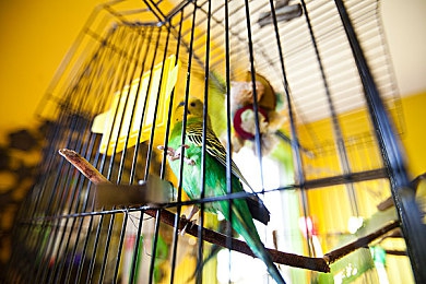 黃色軟件大全下載3.0.3每天OPPO版2024,手機(jī)軟件新潮流，OPPO版下載便捷-4