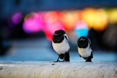 XXX污：奇幻冒險(xiǎn)來(lái)襲，污力游戲引期待-2