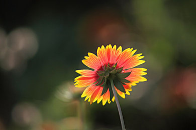 Zoom人與Zoom最新版本對比：Zoom新升級，會議體驗(yàn)大不同-1