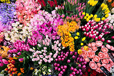 18款禁用：應(yīng)用驚曝，18款疑涉隱私問(wèn)題被禁用-3