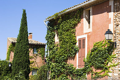 Jαpαn白嫩豐滿(mǎn)老師：日籍女神教師，魅力征服學(xué)子心-1