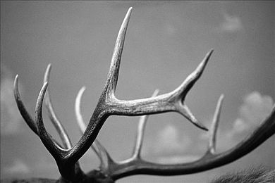 3DXXXX動(dòng)漫XXXX魅魔：探尋失落寶藏，3D動(dòng)漫魅魔大冒險(xiǎn)-4