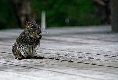無套男同深喉Gay東北小白,東北LGBTQ+群體勇敢發(fā)聲-3