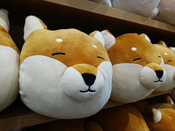 91草莓櫻桃絲瓜綠巨人秋葵榴蓮：健康美味新選擇，組合食材走紅-4