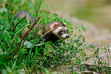 99這里只有：都市秘境，魅力街區(qū)-5