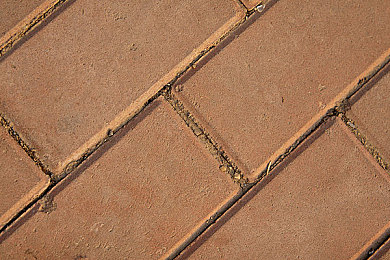 唐三插曲比比東nba免費漫畫,籃球女神跨界《唐三》，漫畫免費吸粉無數(shù)