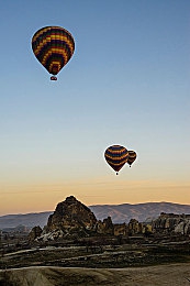 ZookeeperK9牧場：都市綠洲，狗狗樂園-4