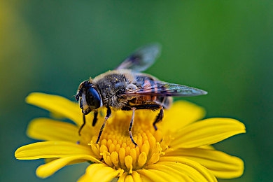 17c呱呱爆料官網(wǎng)：明星私生活曝光，17c呱呱官網(wǎng)揭秘娛樂(lè)圈！-3