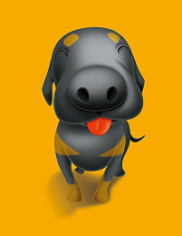 100%vendos：品質(zhì)卓越，服務至上，企業(yè)崛起-1