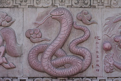 404禁用軟件:揭秘“404禁用軟件”:隱私與安全危機(jī)-4