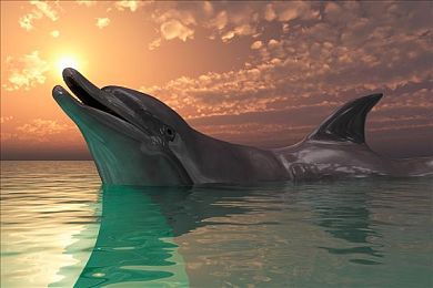 51人氣阿朱：傳奇少女引熱議，游戲新篇章開啟-1