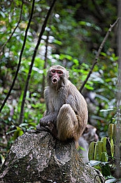 one888app致敬韓寒ios怎么用：數(shù)字閱讀新風(fēng)尚，一鍵暢讀韓寒佳作-4